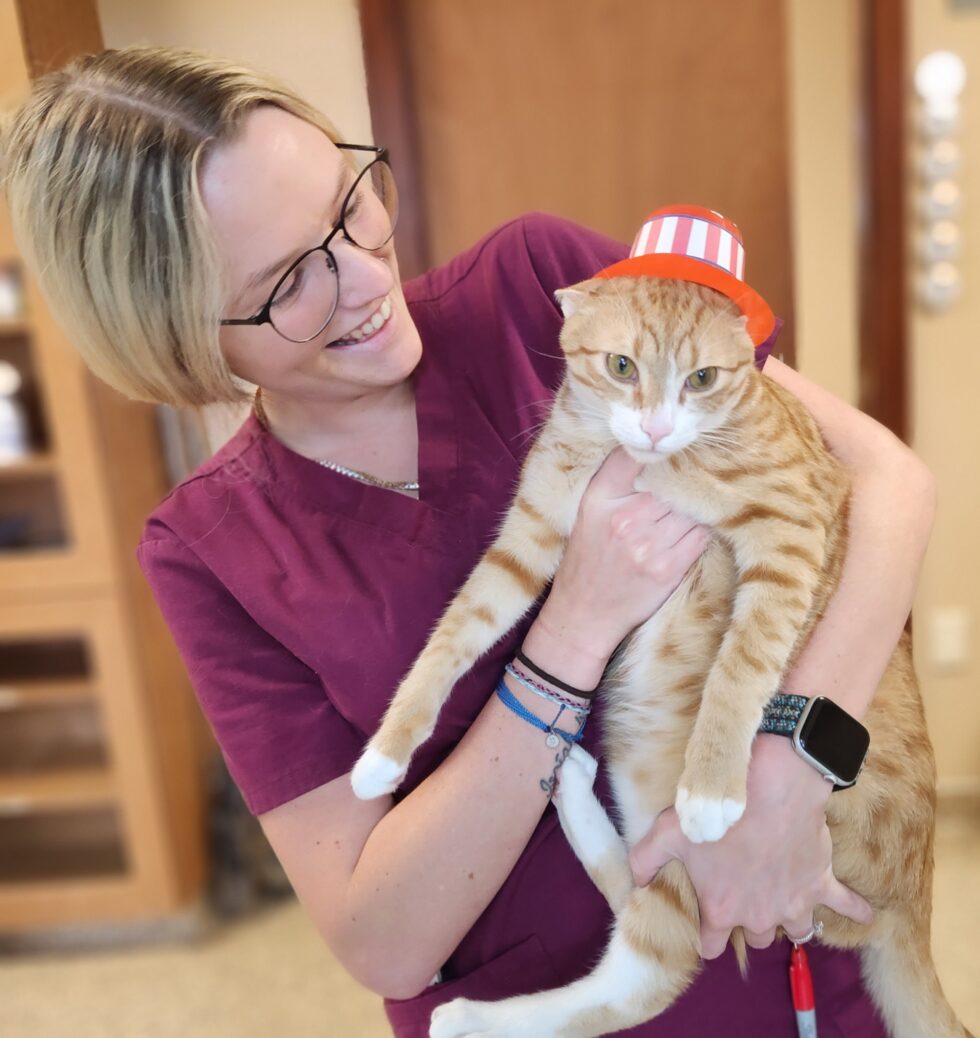 Pet Boarding In Alachua, FL Hilltop Family Vet